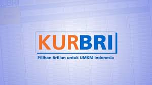 Mau Usaha Berkembang? Begini Cara Ajukan KUR di BRI!