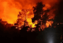 Palestina Tawarkan Bantuan Bencana untuk Israel yang Terbakar