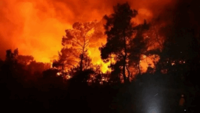 Palestina Tawarkan Bantuan Bencana untuk Israel yang Terbakar