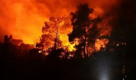 Palestina Tawarkan Bantuan Bencana untuk Israel yang Terbakar