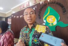 Polemik Mutasi Ketua IDAI, Dokter Piprim Mundur: Komen Kemenkes?