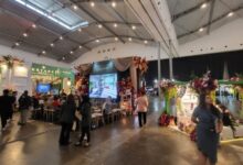 Temukan Promo Menarik: Kenapa Pameran Pernikahan Wajib Dikunjungi!