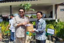 Wamenhut Dorong Pemda Aktifkan Program Penghijauan Secepatnya