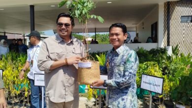 Wamenhut Dorong Pemda Aktifkan Program Penghijauan Secepatnya