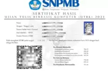 "Cara Cek dan Unduh Sertifikat UTBK 2025 dengan Mudah dan Cepat!"