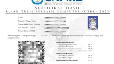 "Cara Cek dan Unduh Sertifikat UTBK 2025 dengan Mudah dan Cepat!"